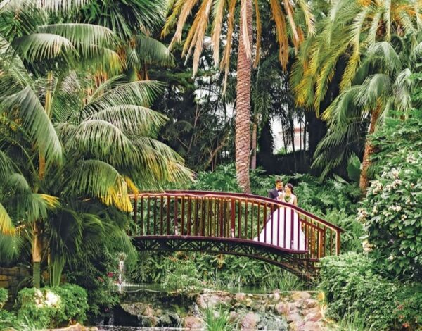 Categoria di inserzione Location Hotel Botanico *****GL